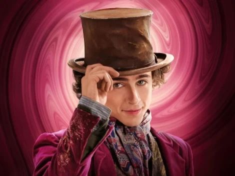 Timothée Chalamet portrait